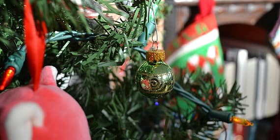 MIT-Yilbasi-Saldirisi-Hazirligindaki-DAES-Teroristini-Yakaladi-featured